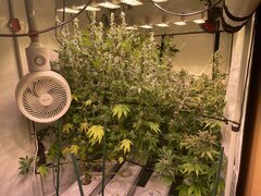 IMG_9834.jpeg