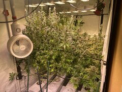 IMG_9885.jpeg