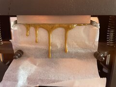 IMG_9936.jpeg