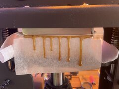 IMG_9939.jpeg