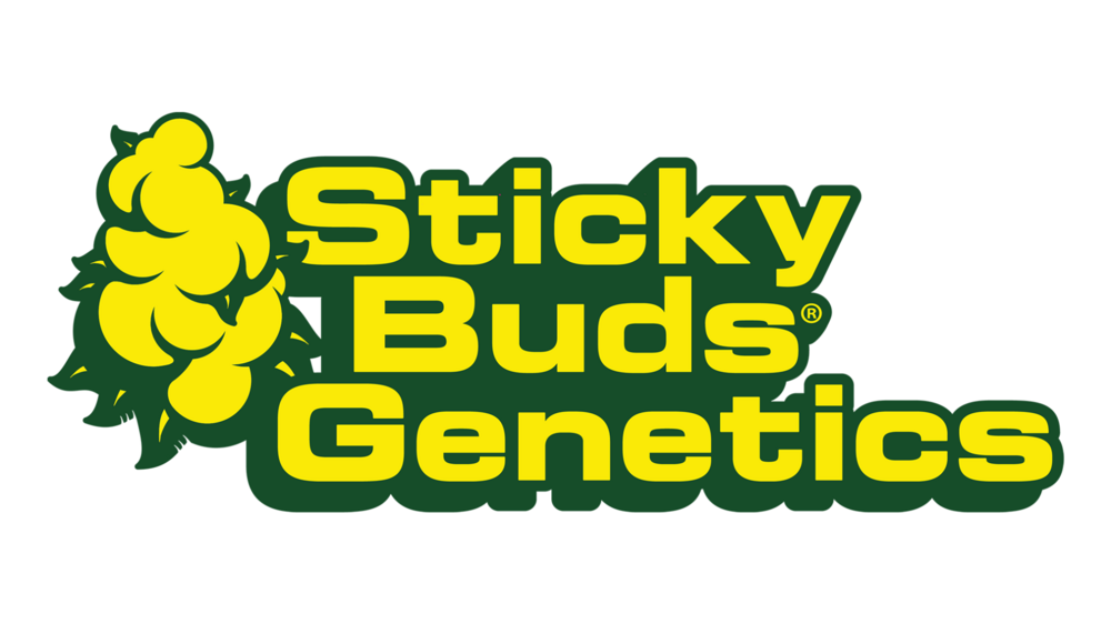 SBG White outline.png