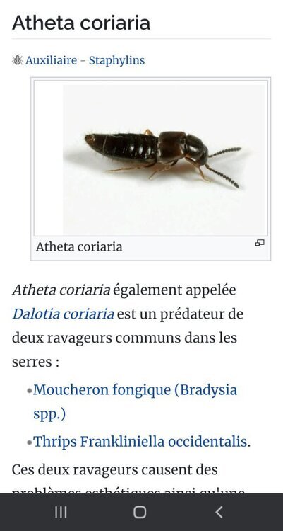 Screenshot_20250123_163400_Chrome.thumb.jpg.93a2d799cb022e48c7641a95cbe2fe2f.jpg