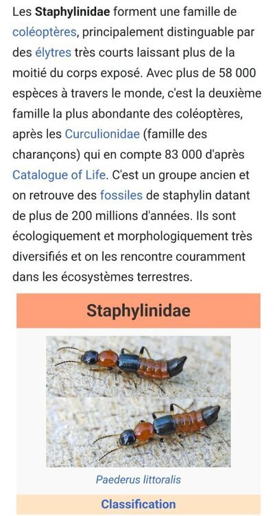 Screenshot_20250123_183801_Chrome.thumb.jpg.289908989ba4b381220ca7a5200302dc.jpg