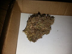 2 grammes de Panama