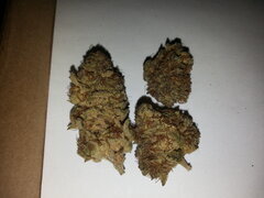 2 grammes de B-45
