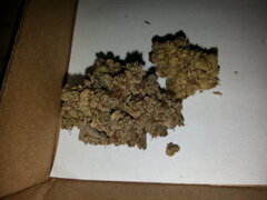 2 grammes de Critical Cherry
