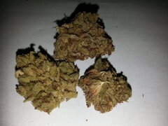 2 grammes de Kosher Kush