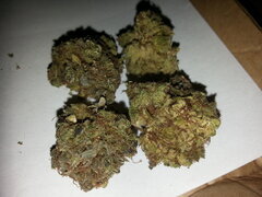 2 grammes de Jack Herer