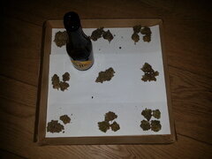 2 grammes de chaque