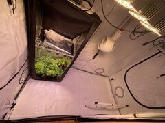 IMG_0327.jpeg