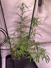 IMG_0328.jpeg
