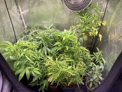IMG_0329.jpeg