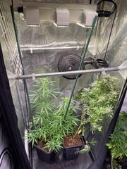 IMG_0351.jpeg