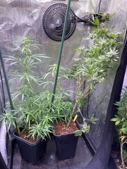 IMG_0352.jpeg