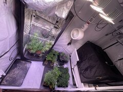 IMG_0354.jpeg