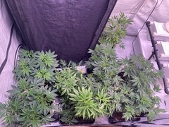 IMG_0467.jpeg