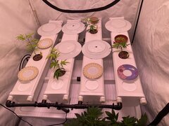 IMG_0469.jpeg