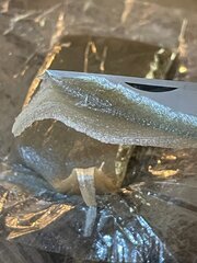 IMG_0568.jpeg