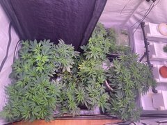 IMG_0599.jpeg