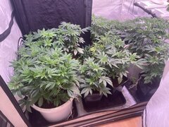 IMG_0600.jpeg
