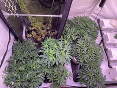 IMG_0722.jpeg
