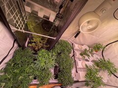 IMG_0725.jpeg