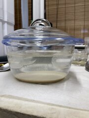 IMG_0774.jpeg