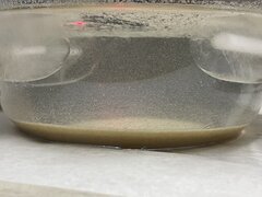 IMG_0776.jpeg