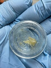 GMO melt 120-159u (1er&2nd passe)
