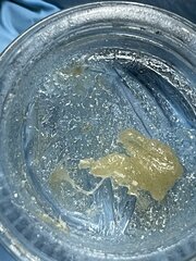 GMO melt 120-159u (1er&2nd passe)