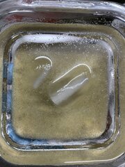 IMG_0794.jpeg