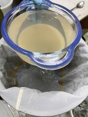 IMG_0799.jpeg