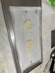 IMG_0822.jpeg