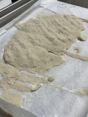 IMG_0827.jpeg