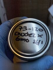 IMG_0856.jpeg
