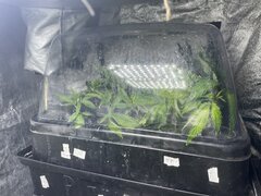 IMG_0884.jpeg