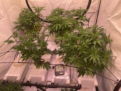 IMG_0897.jpeg