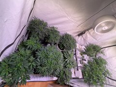 IMG_0901.jpeg