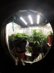 Très content de comment tout ça se profile