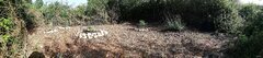 pano2.jpg.4f4b99b081fcea126695c77068275151.jpg