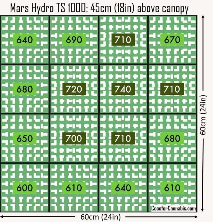 114297863_Mars-Hydro-TS-1000-PAR-Map(1).thumb.jpg.48f27ece40918fc796c93b547a25fb7e.jpg