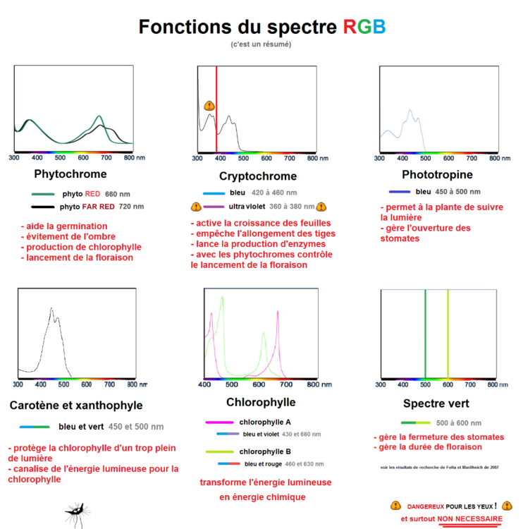Graphique rayon lumineux spectre.png