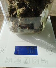 27fev Lemon2.p2.jpg