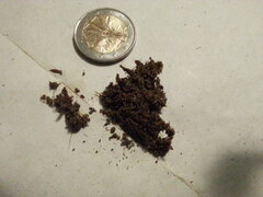 Finger hash d'Açaï Jelly