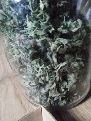 Jack Herer