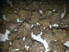 Purple Punch x Do-Si-Dos