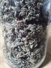 Purple Punch x Do-Si-Dos, manucure