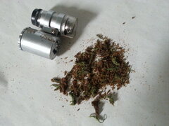 Malawi, finger hash