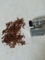 Panama, finger hash