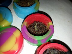 Finger Hash Purple Punch x Do-Si-Dos